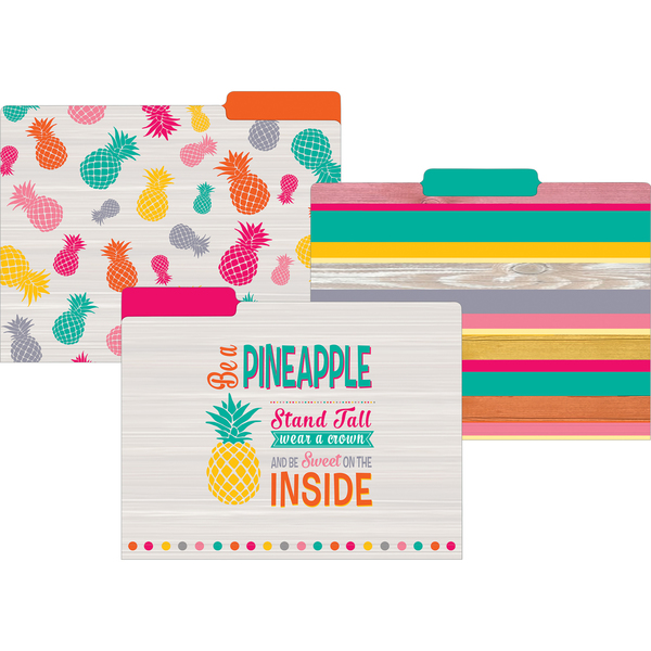 Teacher Created Resources Tropical Punch File Folders, Letter Size, PK24 TCR8538
